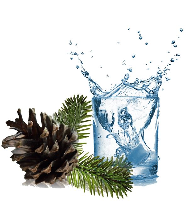 Symbol für Frische und Natur: Ein sprudelndes Wasserglas neben einem Tannenzweig mit Tannenzapfen.
